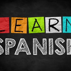 Spanish 1-4; Beginner, Elementary, Intermediate and Advanced